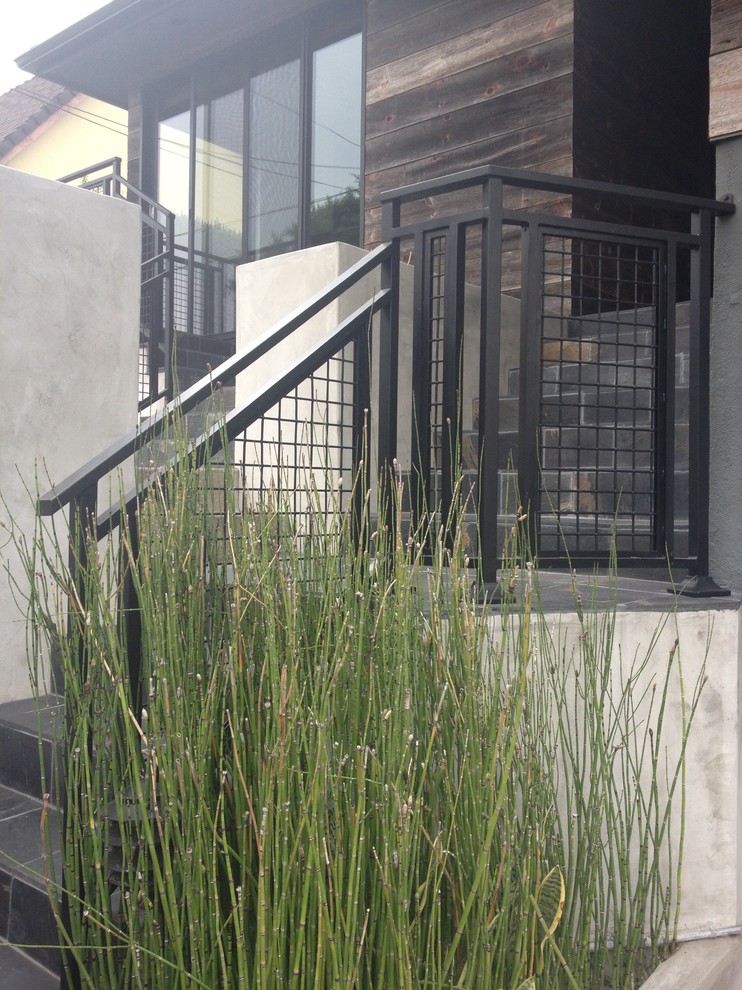 This is an example of a large contemporary back full sun garden for summer in Los Angeles with concrete paving.