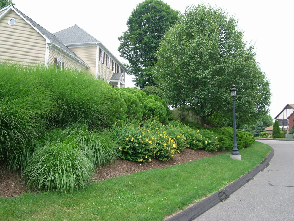 Privacy Screening Contemporary Landscape New York by Hoffman