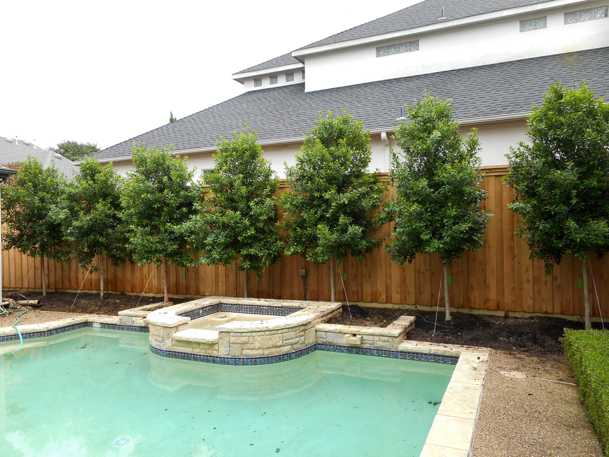Privacy Screening Modern Landscape, Privacy Landscaping Ideas
