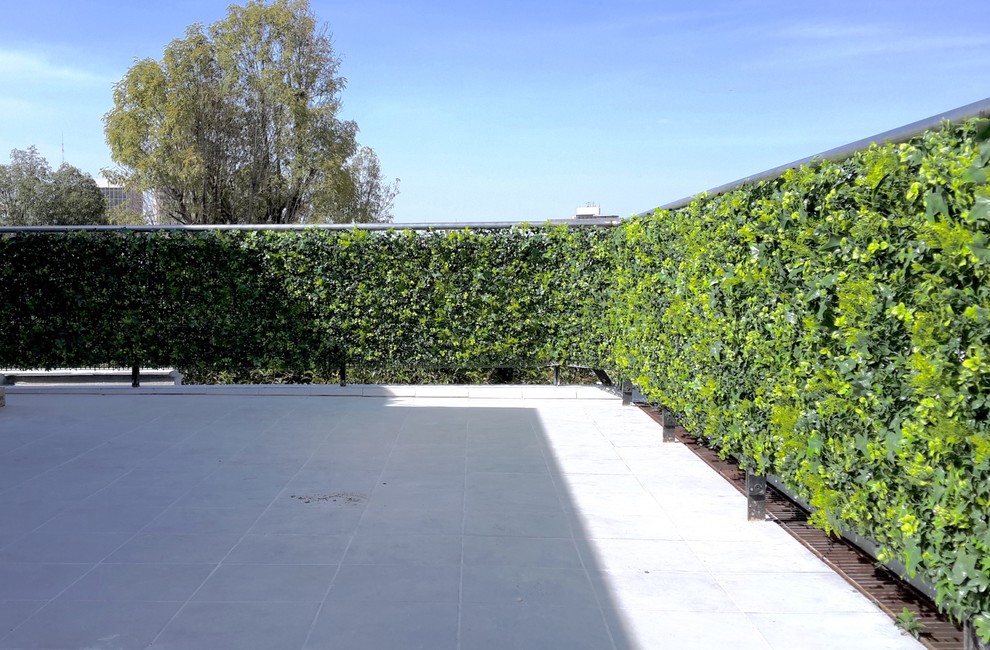 Ispirazione per un ampio giardino moderno esposto in pieno sole sul tetto in estate
