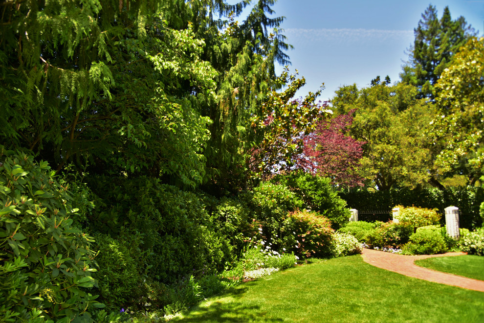 Design ideas for a large contemporary side formal full sun garden for spring in San Francisco with a garden path.