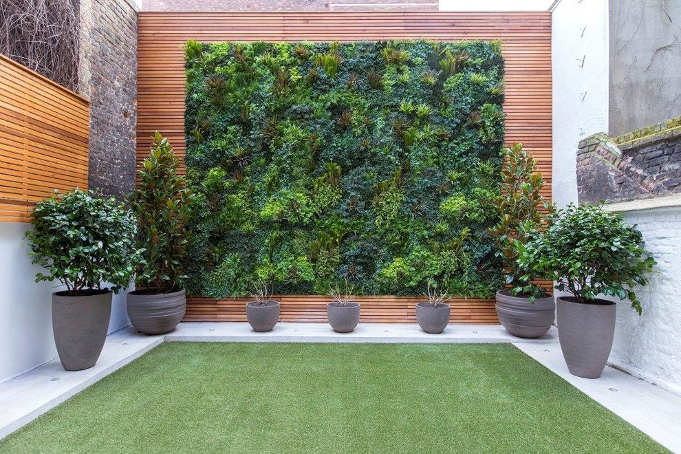 This is an example of a small contemporary back garden in Surrey with a living wall and natural stone paving.
