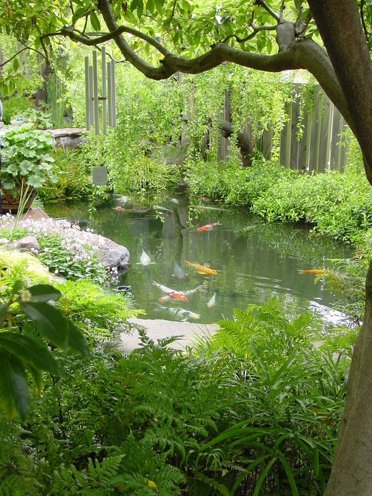 Inspiration for a mediterranean landscaping in San Francisco.