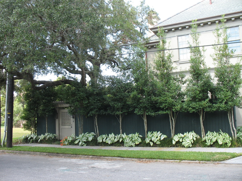 Traditional garden in New Orleans.