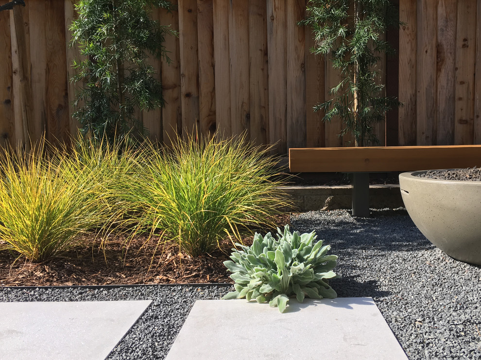 Foto di un piccolo giardino formale minimalista esposto in pieno sole dietro casa con un ingresso o sentiero e pavimentazioni in cemento