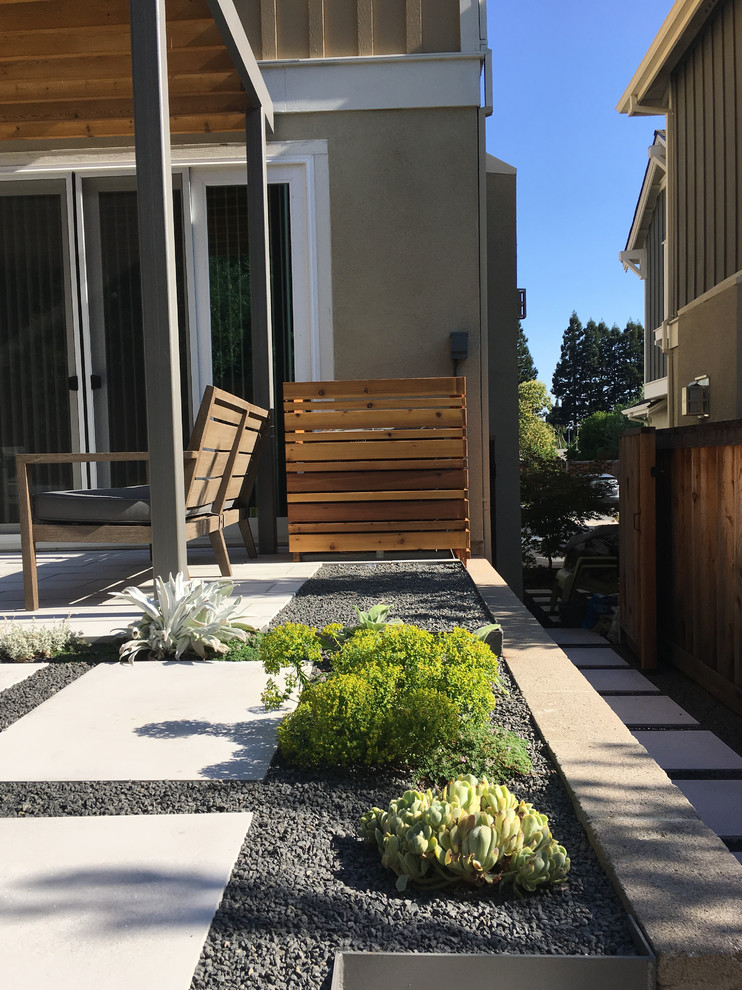 Свежая идея для дизайна: маленький солнечный регулярный сад на заднем дворе в стиле модернизм с садовой дорожкой или калиткой, хорошей освещенностью и мощением тротуарной плиткой для на участке и в саду - отличное фото интерьера
