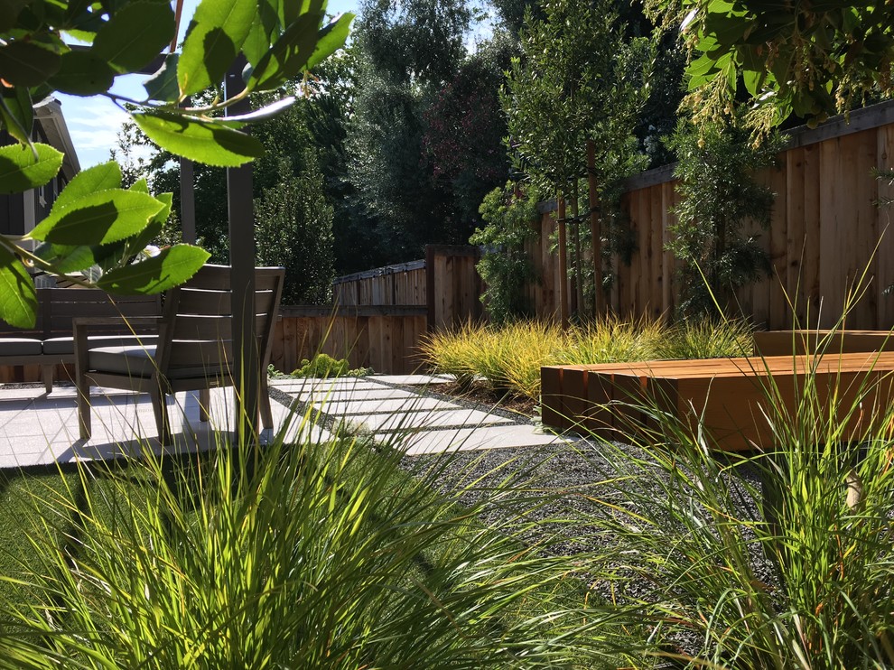 Стильный дизайн: маленький солнечный регулярный сад на заднем дворе в стиле модернизм с садовой дорожкой или калиткой, хорошей освещенностью и мощением тротуарной плиткой для на участке и в саду - последний тренд