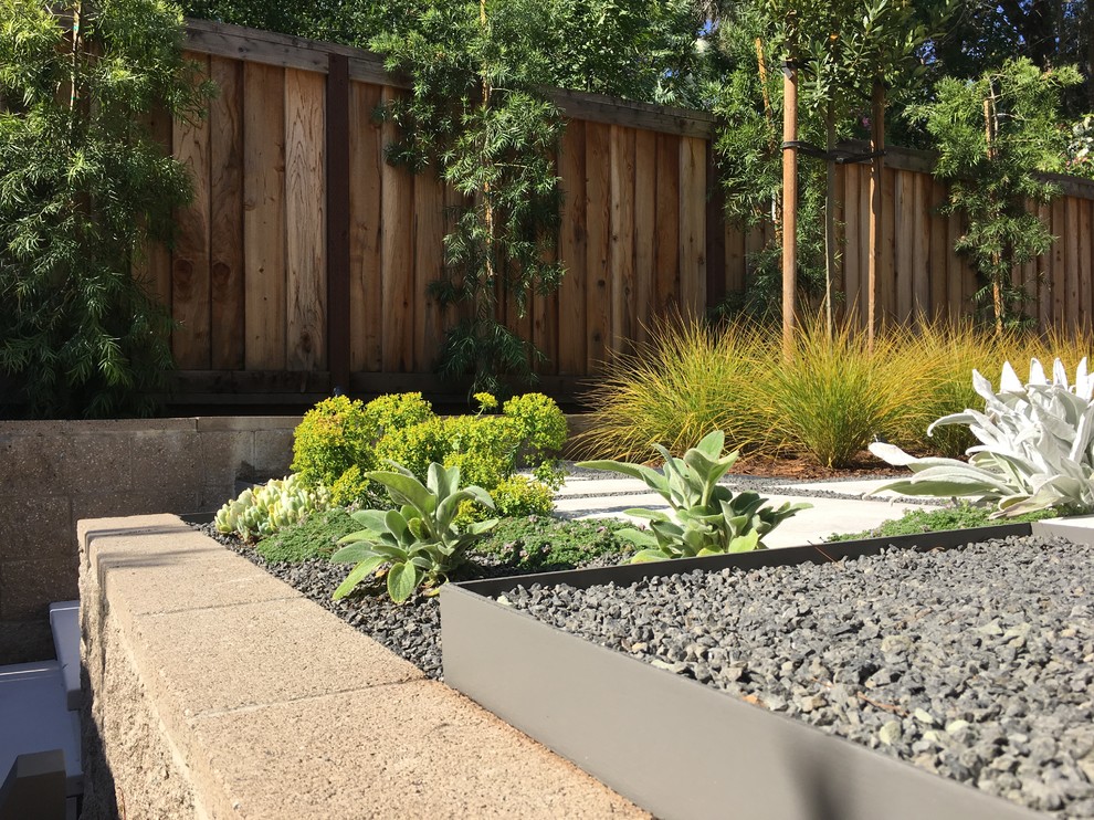 Imagen de camino de jardín moderno pequeño en patio trasero con jardín francés, exposición total al sol y adoquines de hormigón