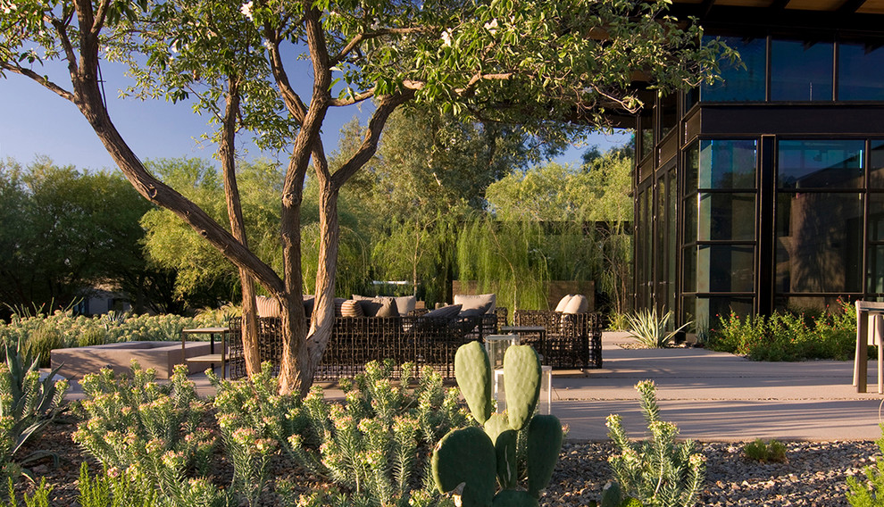 На фото: засухоустойчивый сад среднего размера на переднем дворе в стиле модернизм с полуденной тенью и мощением тротуарной плиткой