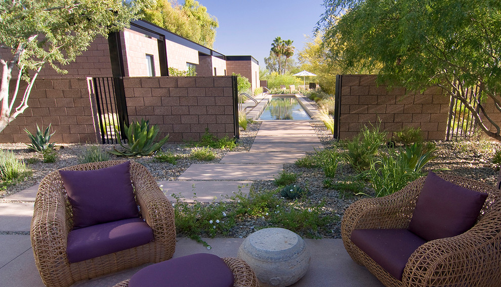 Mittelgroßer, Halbschattiger Moderner Garten hinter dem Haus mit Betonboden in Phoenix