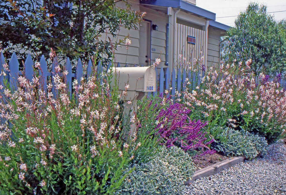 На фото: маленький солнечный, весенний засухоустойчивый сад на переднем дворе в морском стиле с садовой дорожкой или калиткой, хорошей освещенностью, покрытием из гравия и с деревянным забором для на участке и в саду