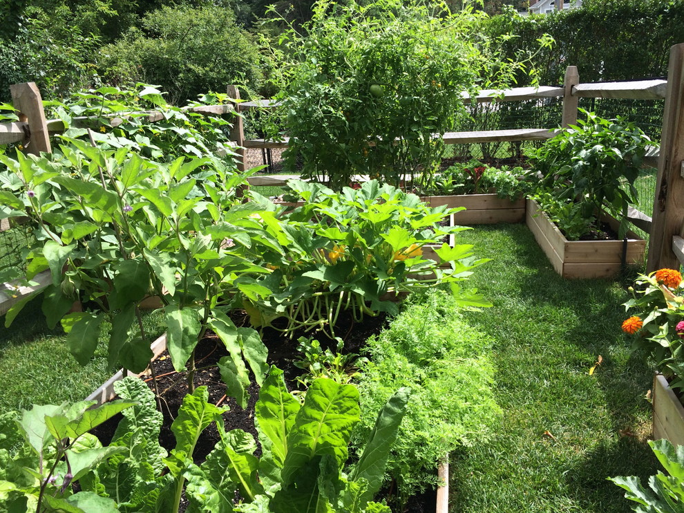 Ispirazione per un orto in giardino country esposto in pieno sole di medie dimensioni e dietro casa
