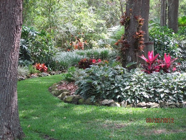 This is an example of a classic garden in Tampa.