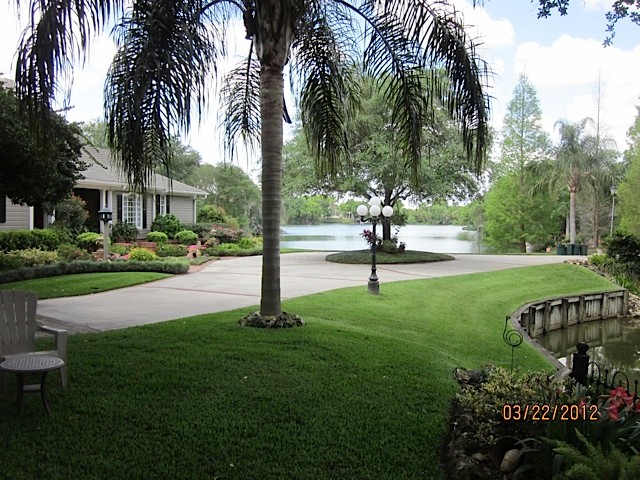 Photo of a medium sized classic front driveway garden in Tampa with concrete paving.