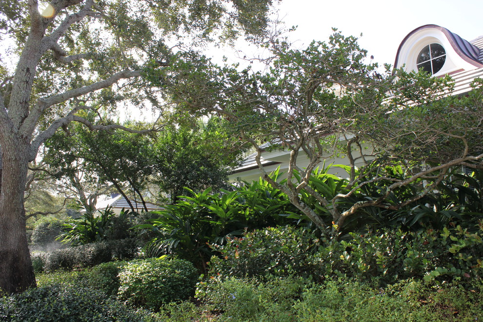 Inspiration for a modern garden in Miami.