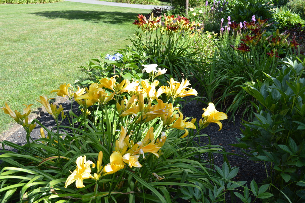 Foto de jardín de estilo americano de tamaño medio en verano en patio delantero con jardín francés, parterre de flores, exposición total al sol y mantillo