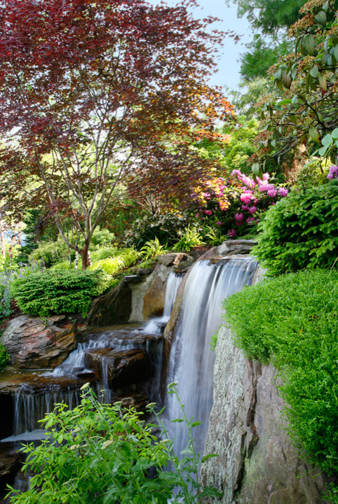 Inspiration for a traditional landscaping in Grand Rapids.