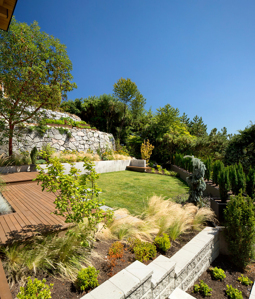 Diseño de jardín contemporáneo en patio trasero con muro de contención, exposición parcial al sol y entablado