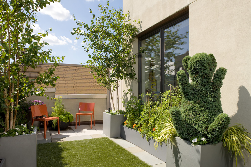 Photo of a contemporary backyard landscaping in New York.
