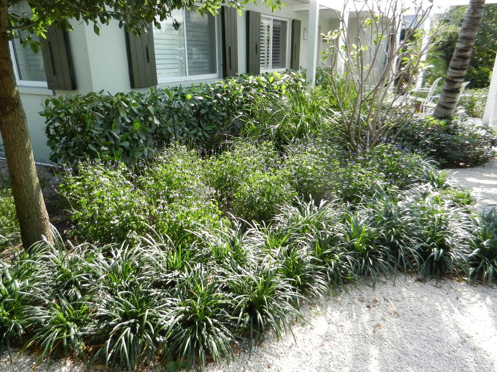 Inspiration for a traditional landscaping in Miami.