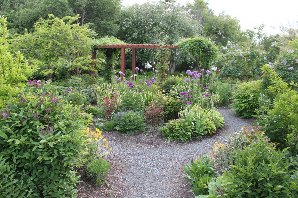 Пример оригинального дизайна: участок и сад на заднем дворе в классическом стиле с покрытием из гравия