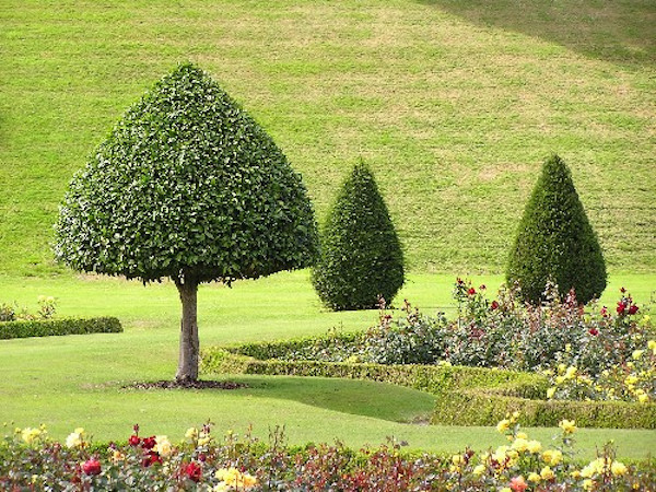 Idées déco pour un très grand jardin à la française arrière exotique au printemps avec une exposition partiellement ombragée et des pavés en pierre naturelle.