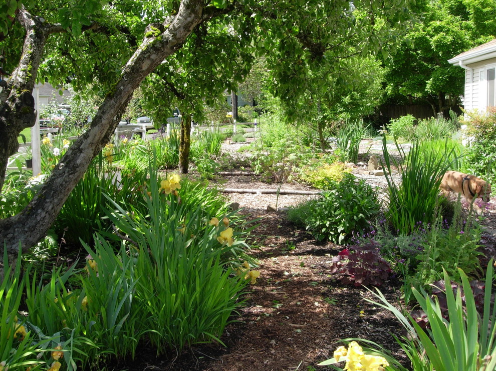 Design ideas for a front partial sun garden for spring in Portland with mulch.