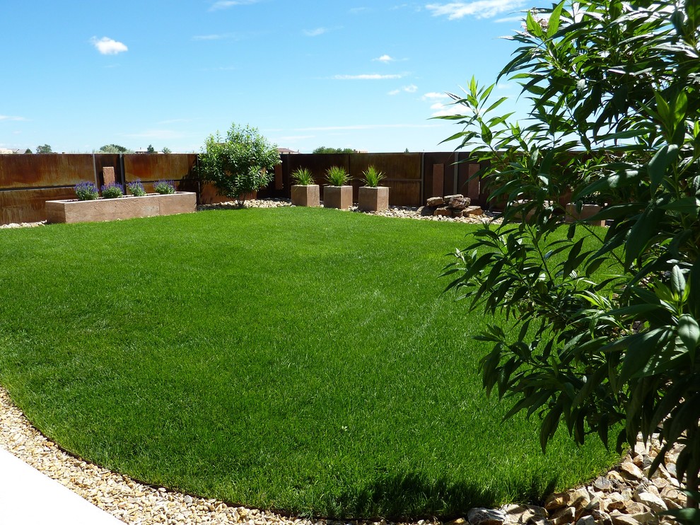 Inspiration for a modern back full sun garden in Albuquerque with an outdoor sport court.