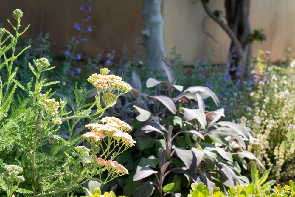 Aménagement d'un grand jardin méditerranéen au printemps avec un massif de fleurs, une exposition ensoleillée et un gravier de granite.