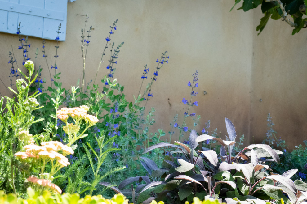 Стильный дизайн: большой солнечный, весенний участок и сад на заднем дворе в средиземноморском стиле с хорошей освещенностью и покрытием из гравия - последний тренд