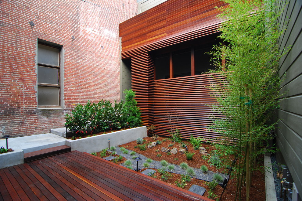 Inspiration for a modern courtyard landscaping in San Francisco.