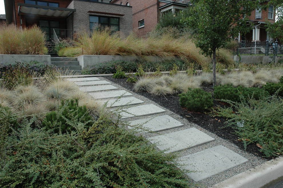 Immagine di un giardino xeriscape minimalista esposto in pieno sole di medie dimensioni e davanti casa in estate con un ingresso o sentiero e pavimentazioni in cemento