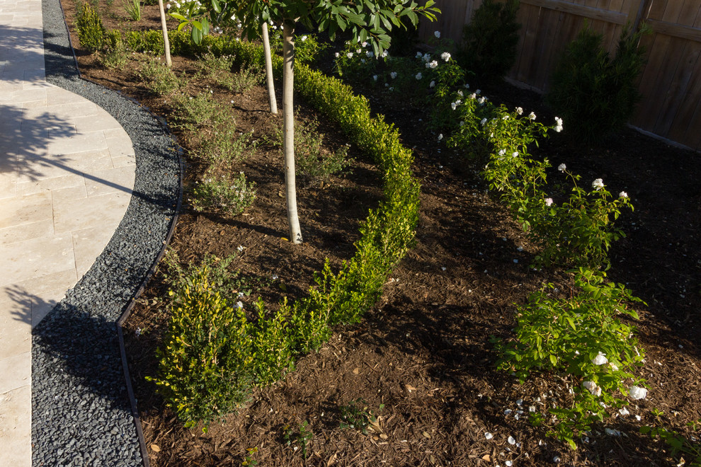 Purkis Residence Contemporary Landscape Houston by ZODEGA TIS