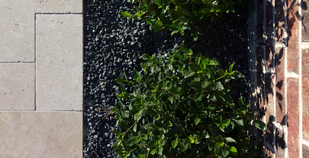 Purkis Residence Contemporary Garden Houston by ZODEGA TIS