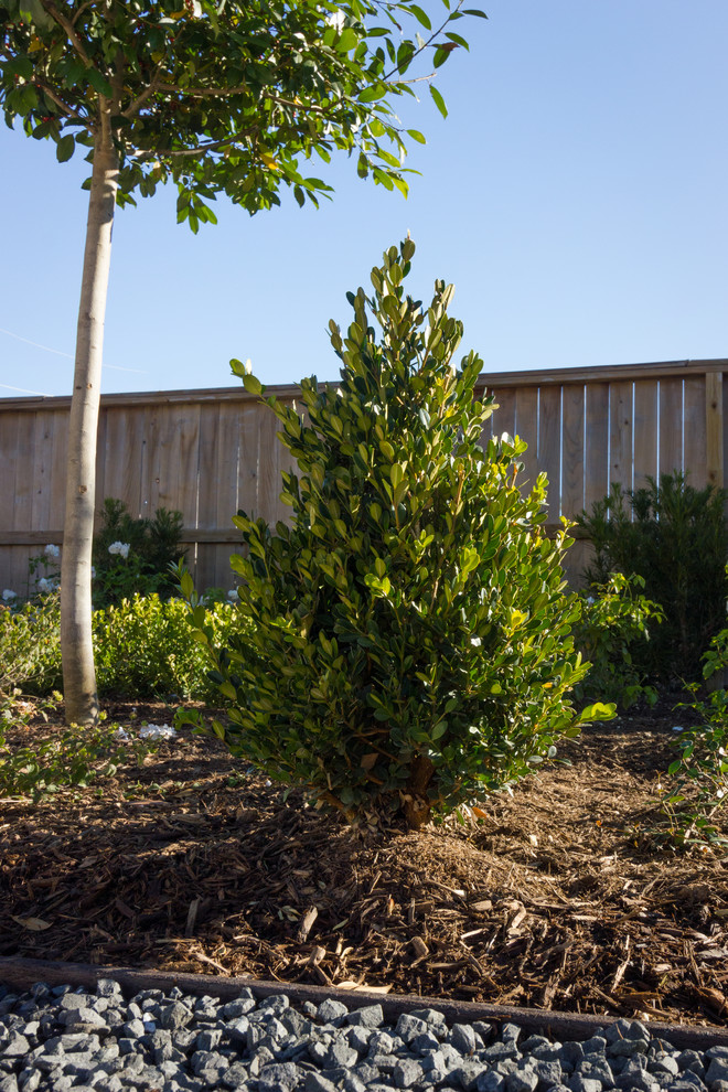 Purkis Residence Contemporary Landscape Houston by ZODEGA TIS