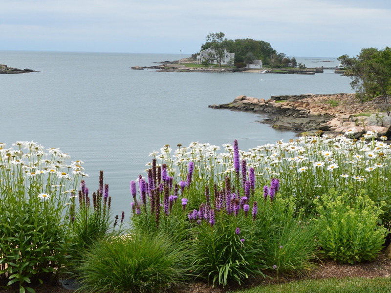 Inspiration pour un jardin arrière marin l'été avec une exposition ensoleillée.
