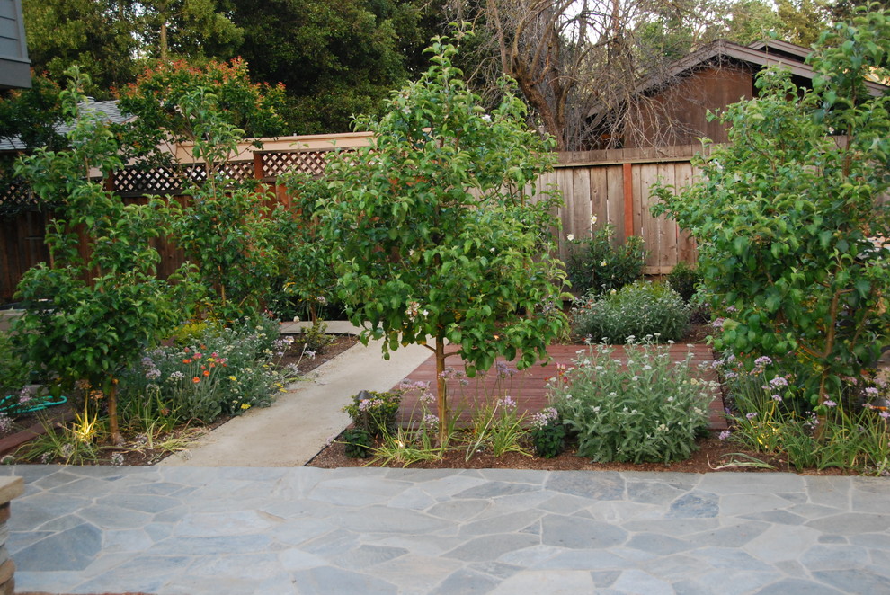 This is an example of a large craftsman full sun backyard garden path in San Francisco.