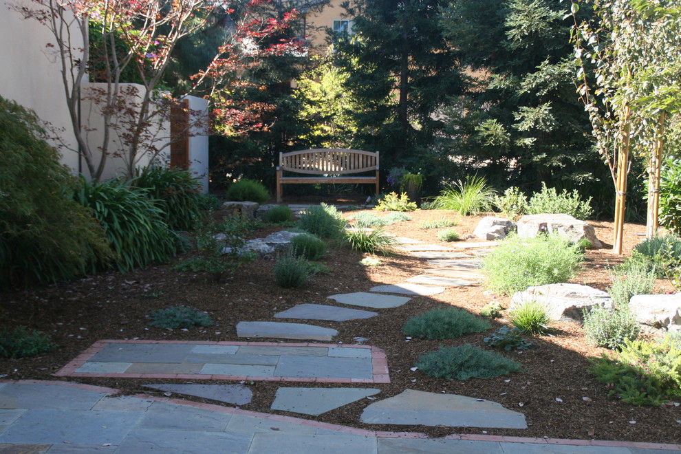 Immagine di un grande giardino xeriscape design esposto a mezz'ombra nel cortile laterale con un ingresso o sentiero e pavimentazioni in mattoni