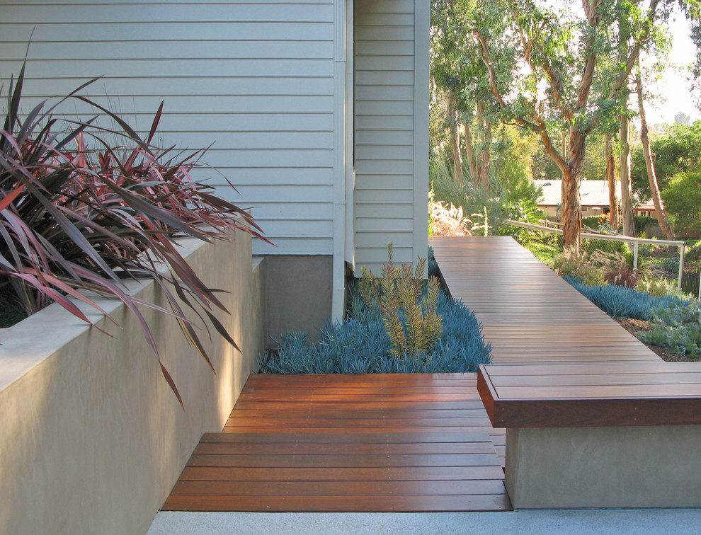 This is an example of a modern landscaping in San Diego.