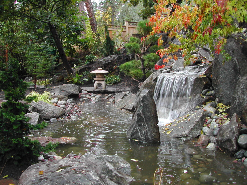 Großer Asiatischer Garten hinter dem Haus mit Wasserspiel in Seattle