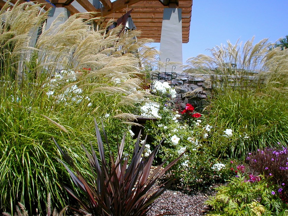 Photo of a contemporary landscaping in San Luis Obispo.