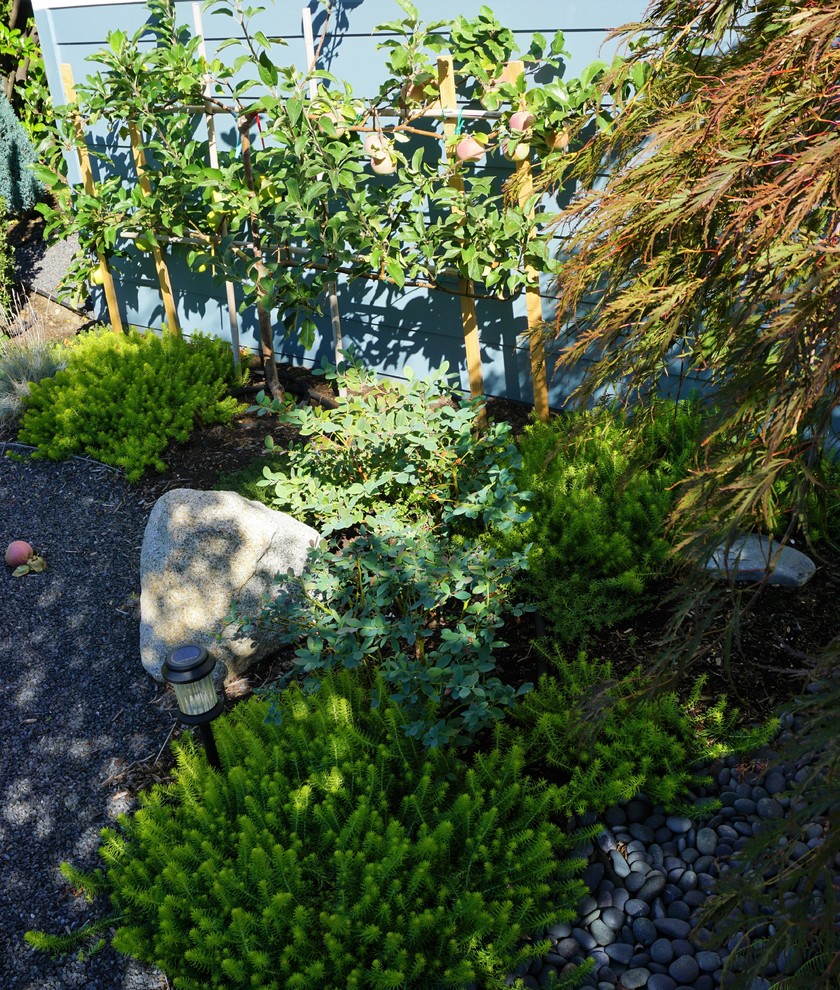 Uriger Garten in Seattle