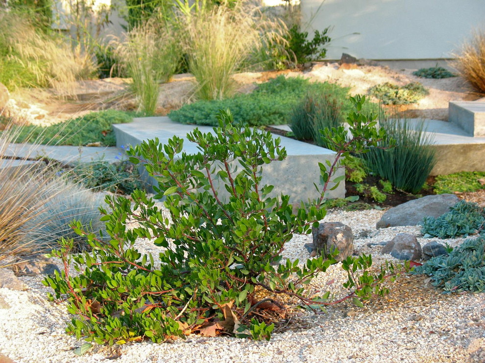 sacramento landscape design sacramento landscape design