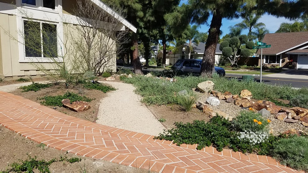 Photo of a medium sized bohemian front xeriscape garden in Orange County.