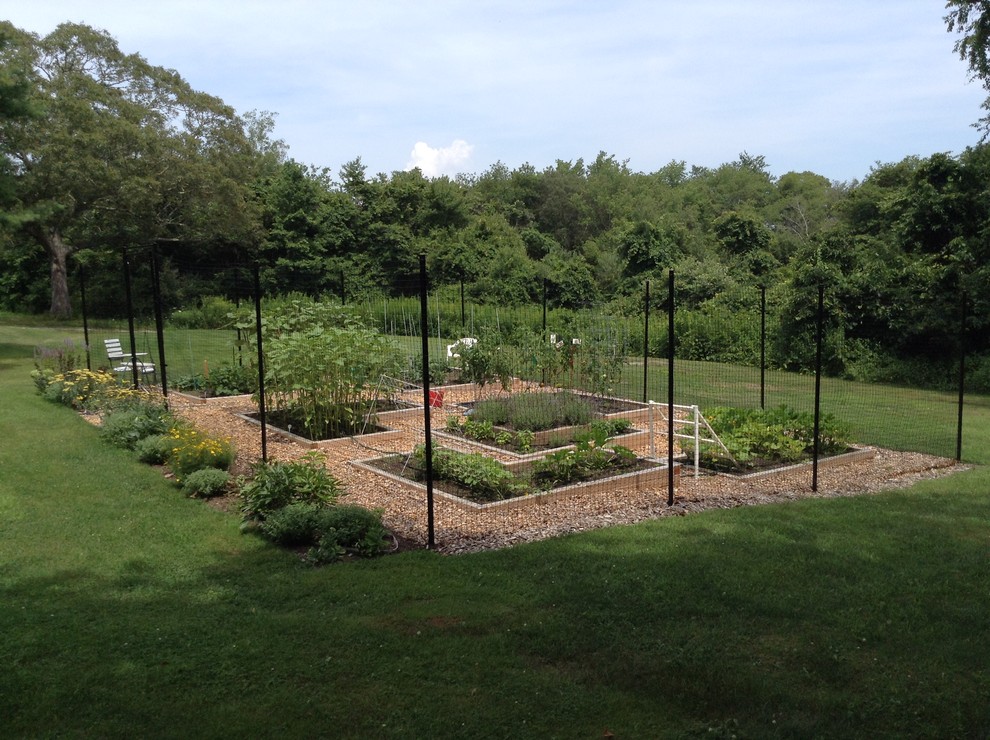 Idee per un giardino esposto in pieno sole di medie dimensioni e dietro casa in estate con pacciame