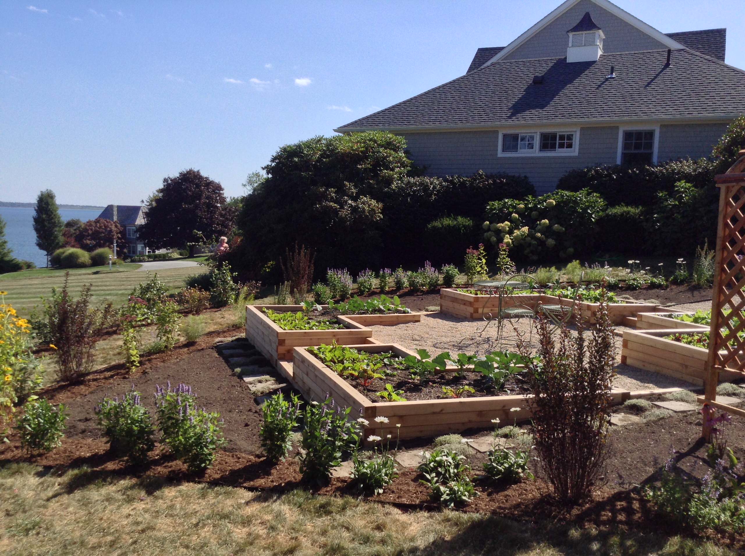 Raised Bed Vegetable Garden on a Slope - Gardening - Healthy Alyona