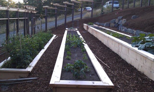 Raised Beds On A Slope Eclectic, How To Make A Raised Garden On Slope