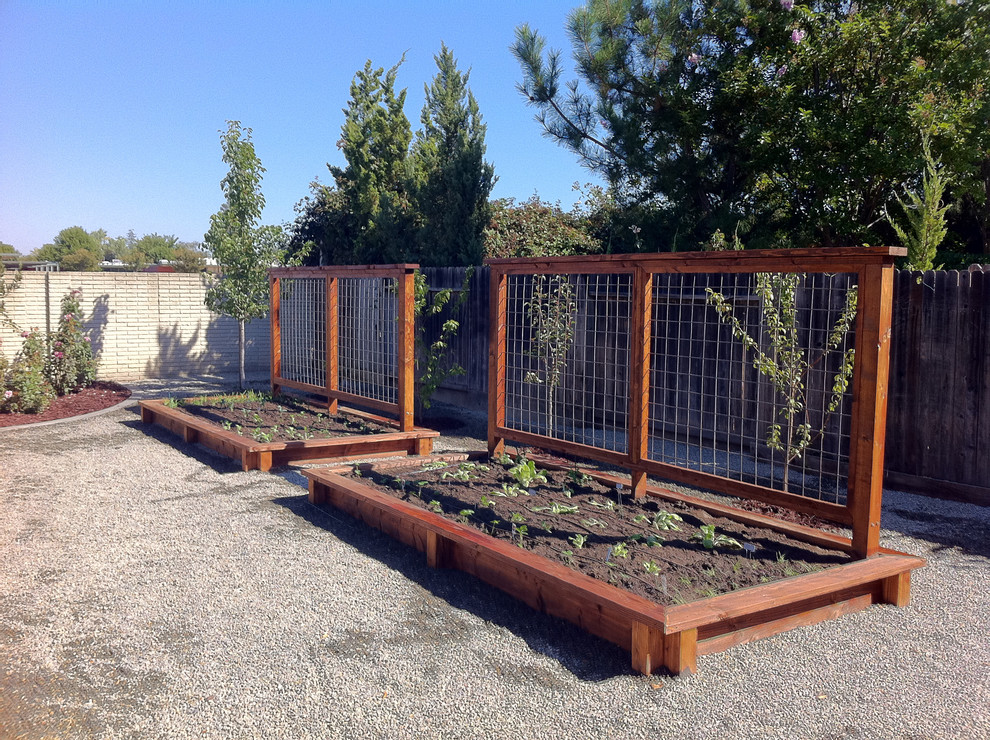 Photo of a traditional full sun backyard vegetable garden landscape in Sacramento.