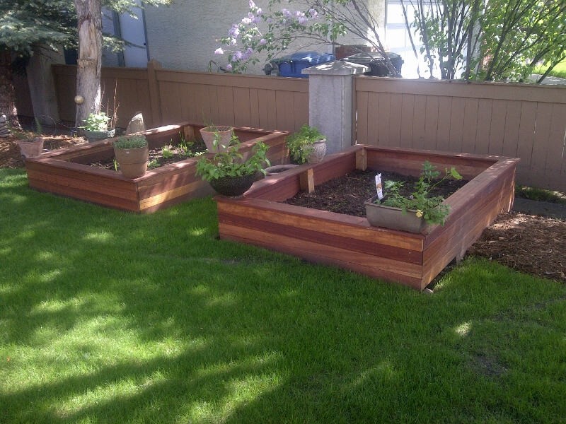 Пример оригинального дизайна: весенний участок и сад на заднем дворе в классическом стиле с растениями в контейнерах и полуденной тенью