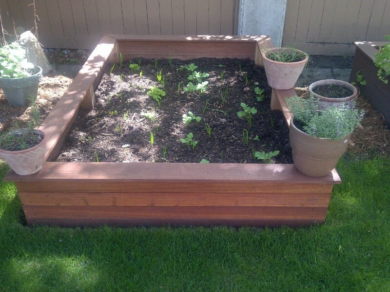 Classic back partial sun garden for spring in Calgary with a vegetable patch.